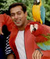 salman34.jpg (9795 bytes)